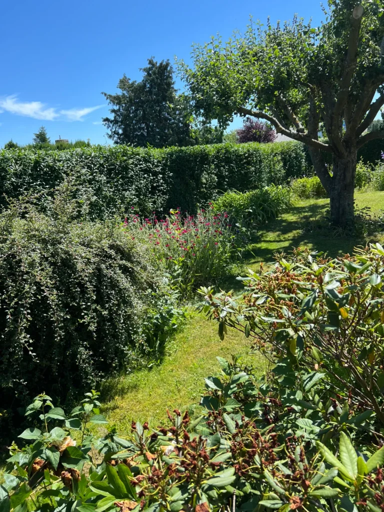 Have med blomstrende buske og hæk