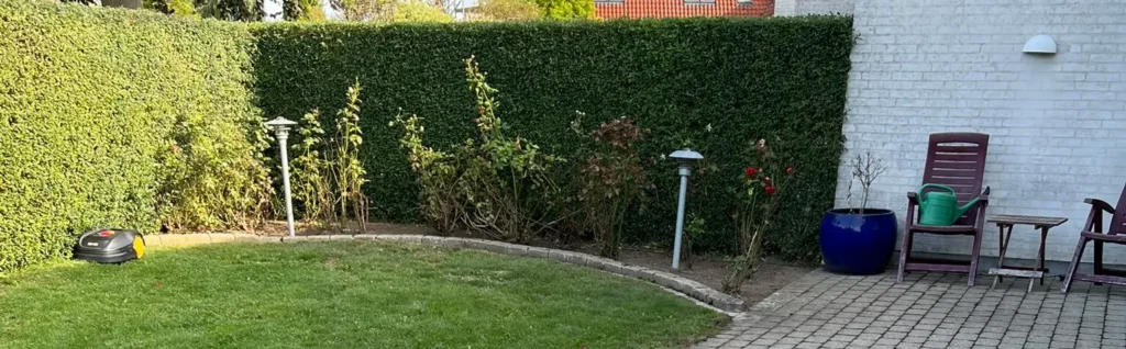 Græsplæne og terrasse foran klippet hæk