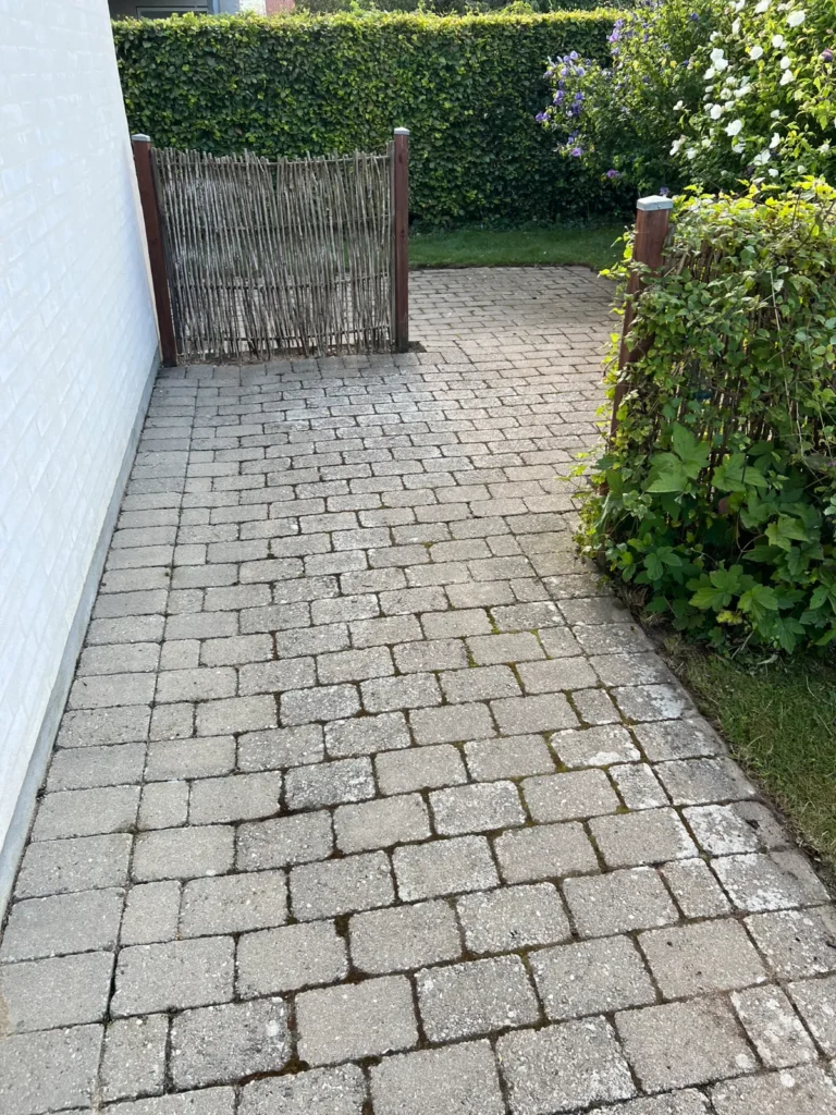 Flisegang langs hus og hæk efter rengøring