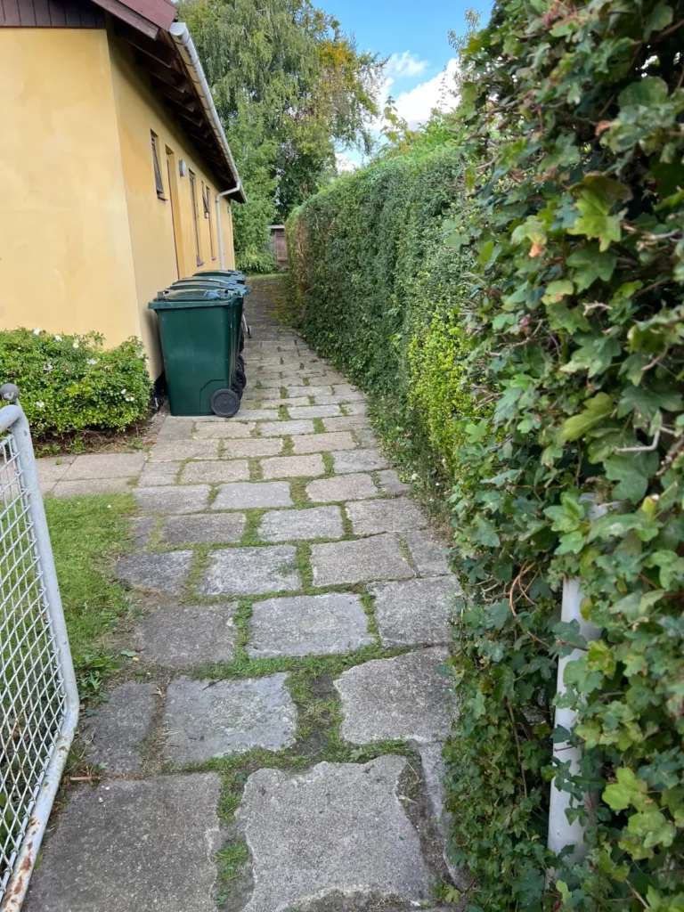 Flisesti langs hus og efeuklædt hegn