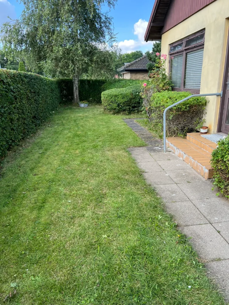 Græsplæne og flisegang ved hus