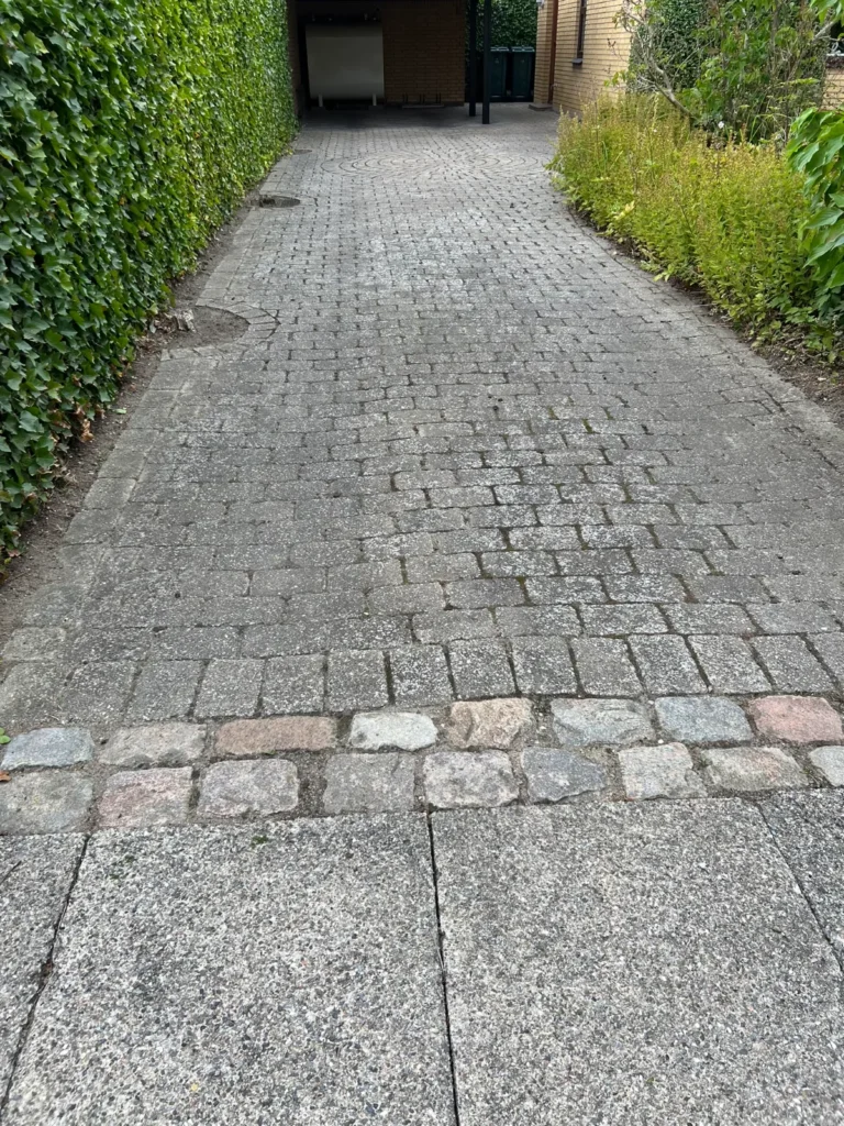 Flisebelagt indkørsel langs klippet hæk