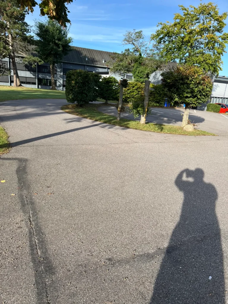 Parkeringsplads med træer og beplantning ved virksomhed