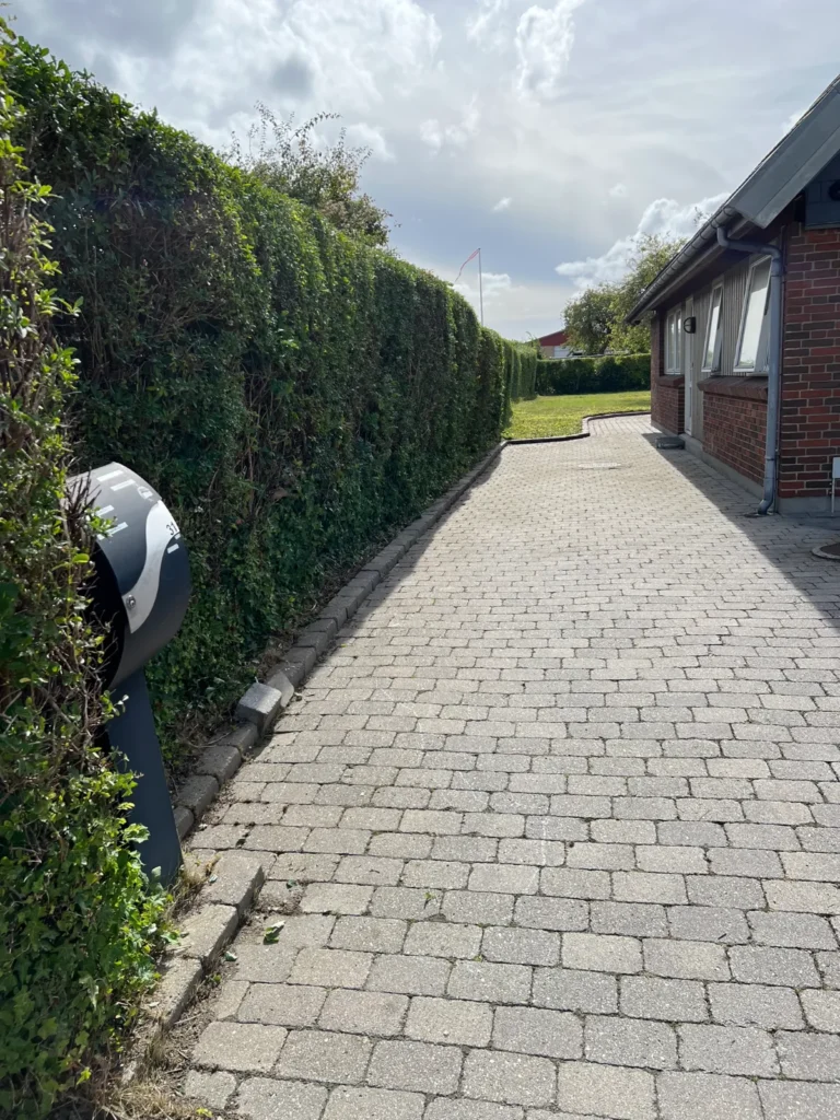 Havemand klipper hæk langs flisebelagt indkørsel