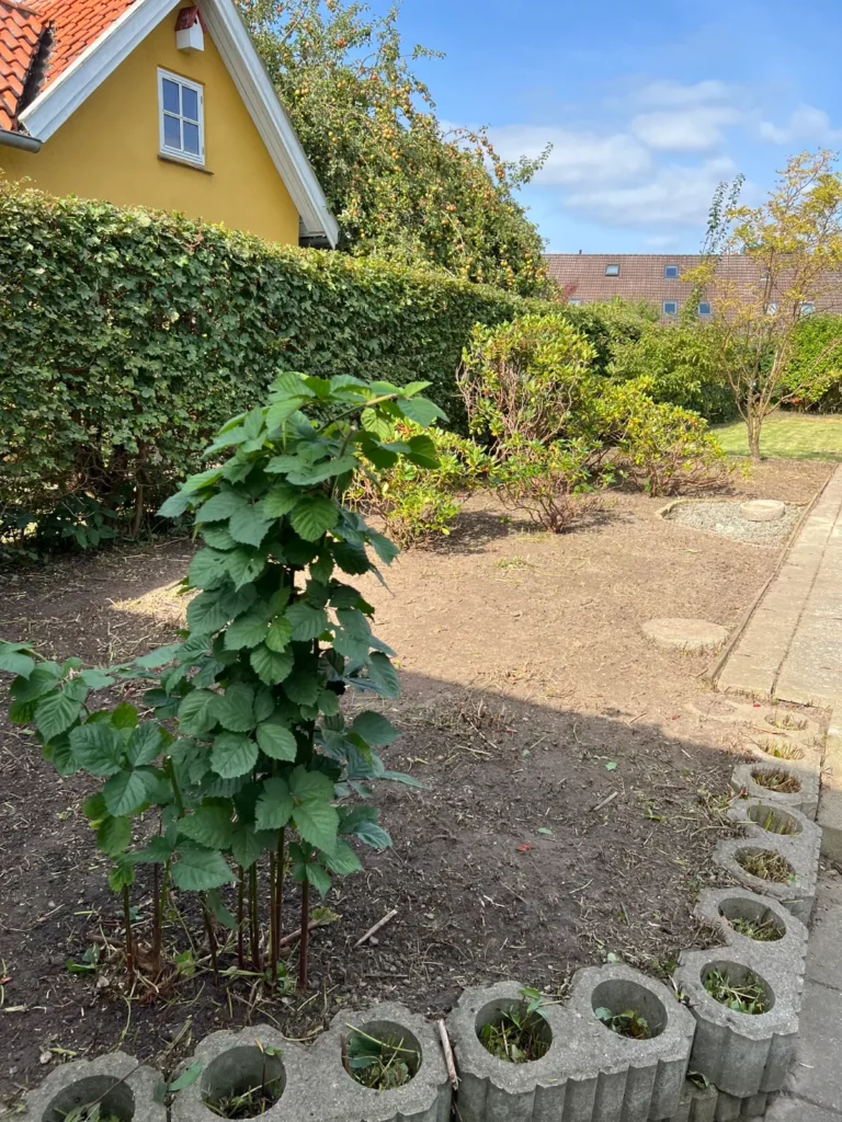 Have med fliser og ny beplantning