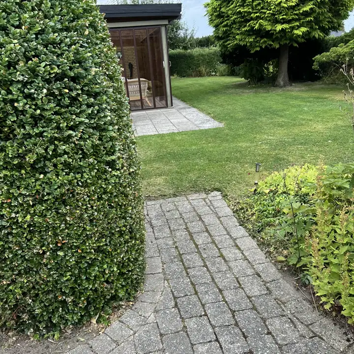 Nyklippet hæk og flisegang i en villahave